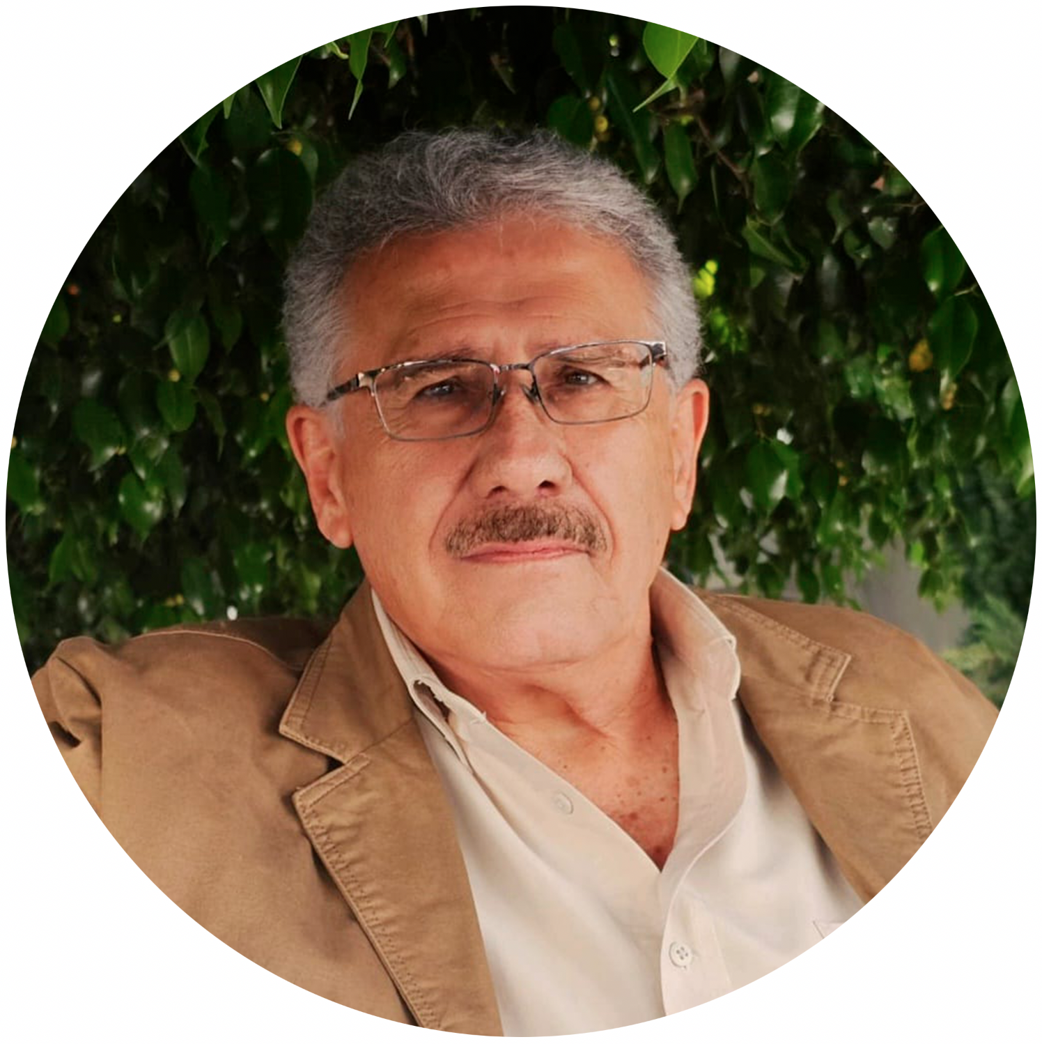 Héctor Gerardo Toledo Rosillo